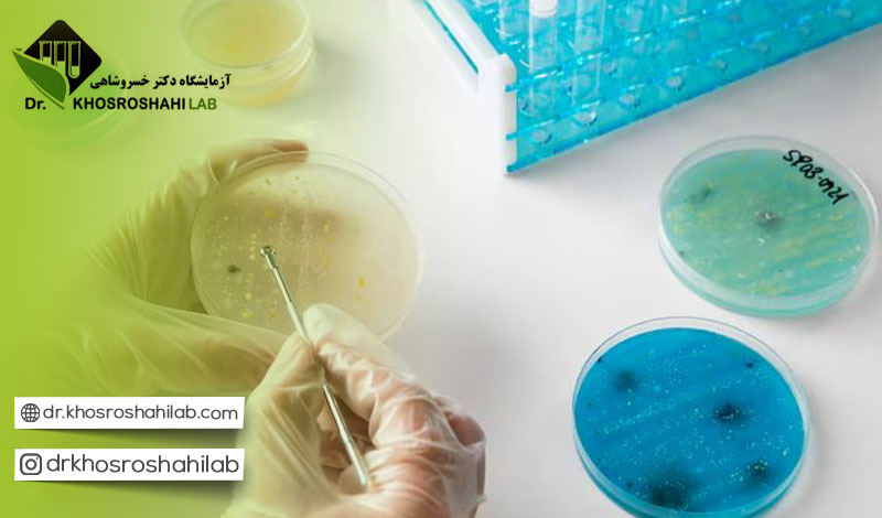 بررسی دقت روش های آزمایشگاهی برای تشخیص عفونت قارچی