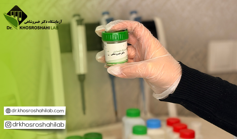 راهنمای انتخاب بهترین آزمایشگاه برای تست پاپ اسمیر