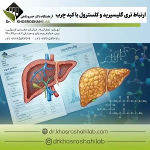 ارتباط تری گلیسیرید و کلسترول با کبد چرب